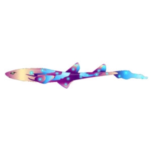 Cosmic Cat Shark